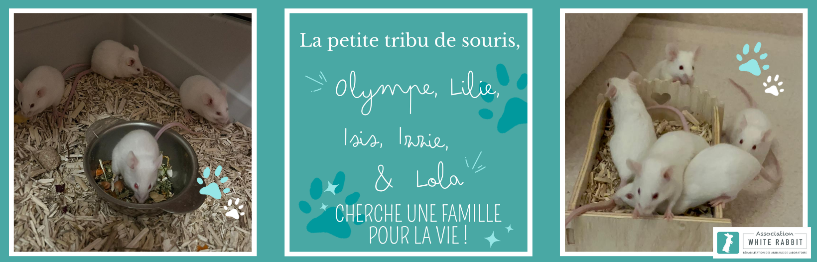 Olympe, Lilie, Isis, Izzie & Lola